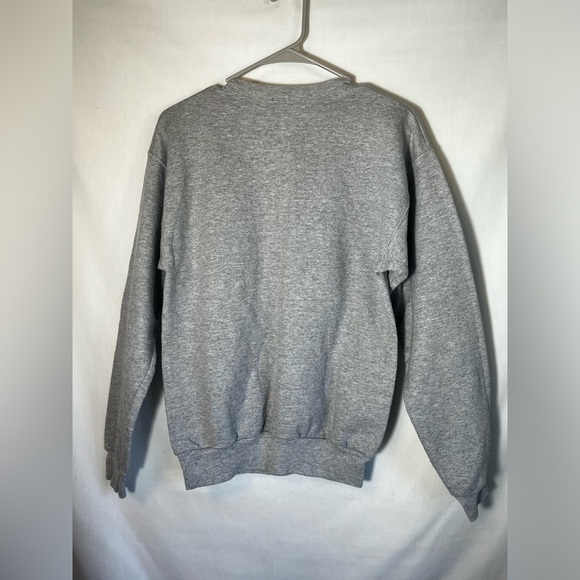 Hanes Disneyland Disney Parks Splash Mountain Grey  Crewneck Size S - Picture 9 of 10